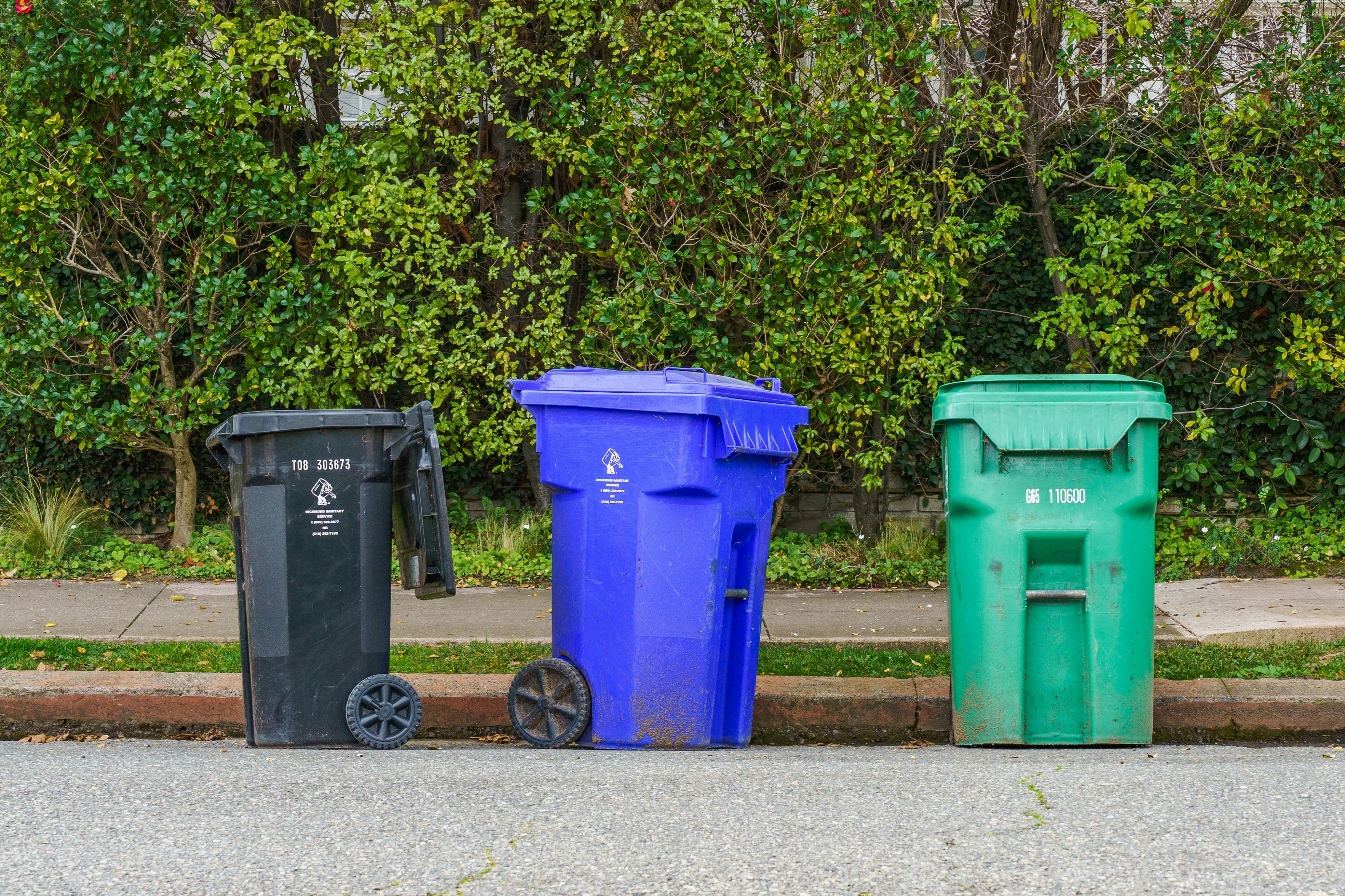 Fully managed hosting and website support