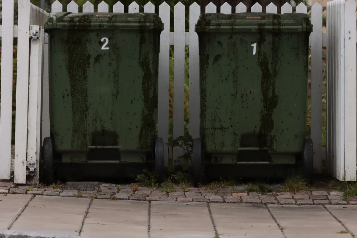 Two wheelie bins streaked with grime and mould before cleaning