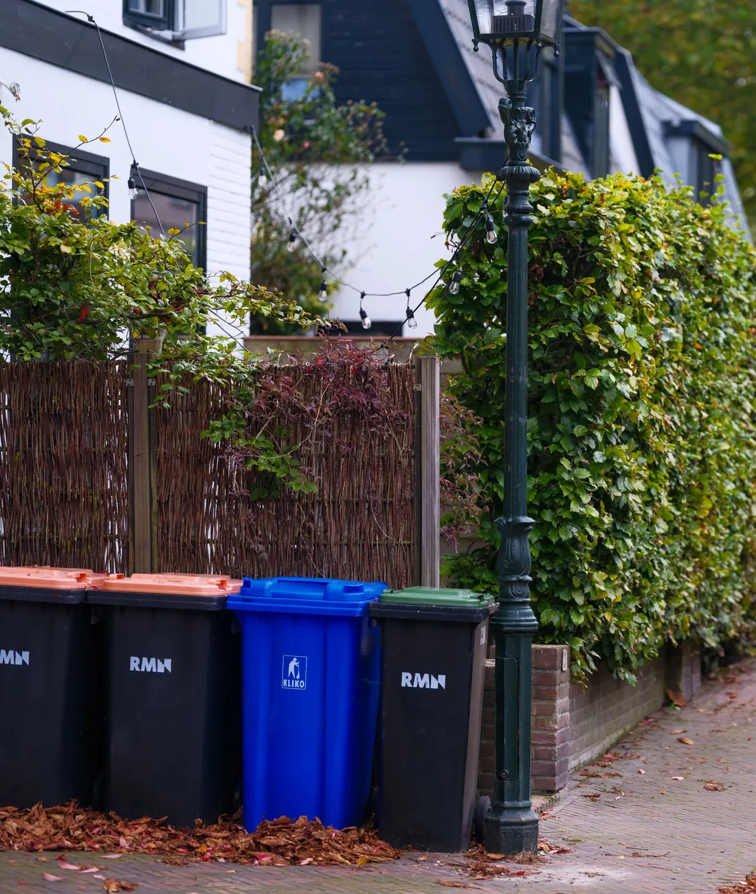 Wheelie bins lined up at the curb on a leafy residential street